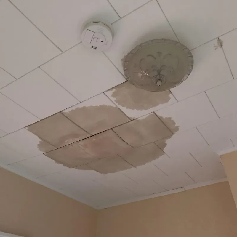 Ceiling Water Damage Repair in Mason County, TX