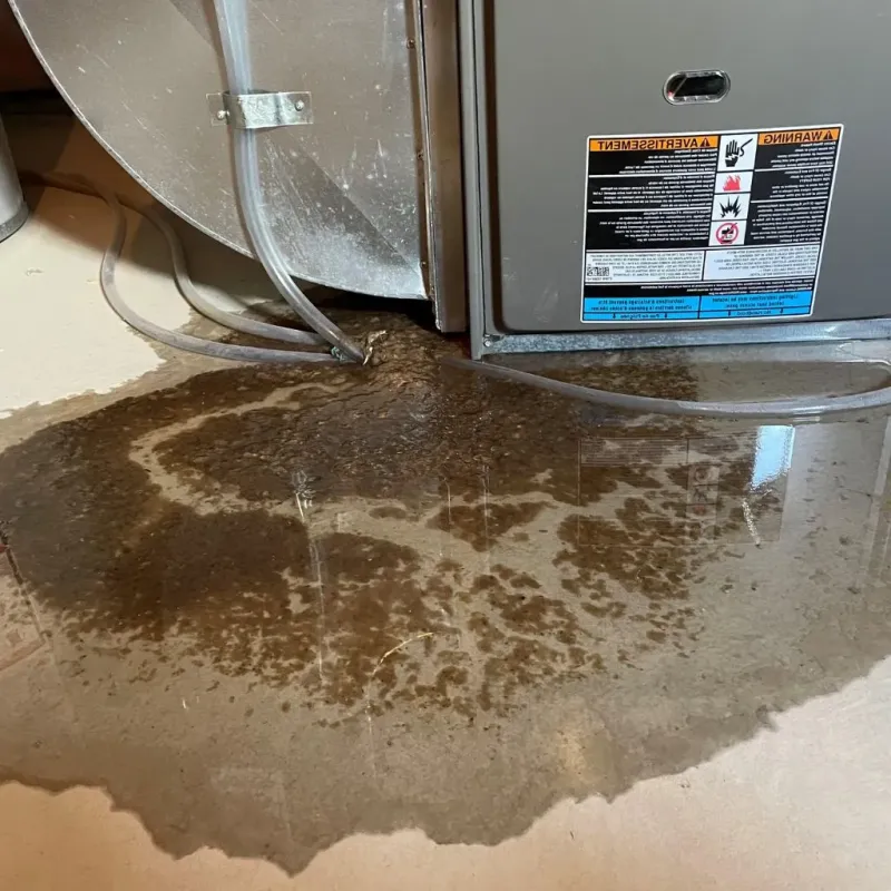 Pipe Burst and Leak Restoration in Mason County, TX