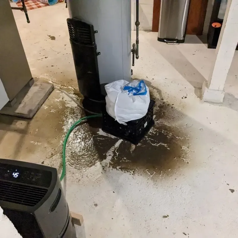 Sewage Backup Cleanup Service in Mason County, TX